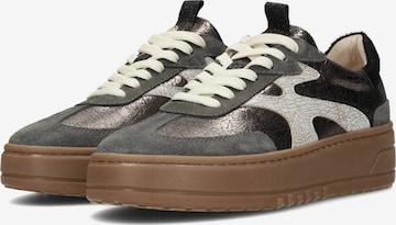 Baskets basses 'Aurelie' Haboob en mélange de couleurs : devant