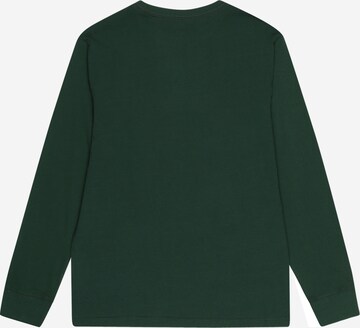 Polo Ralph Lauren Shirt in Groen