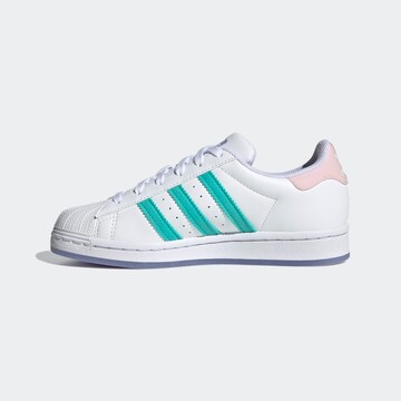 Sneaker 'Superstar' di ADIDAS ORIGINALS in bianco