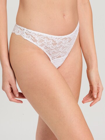 Hanro Thong 'French Lace' in White: front