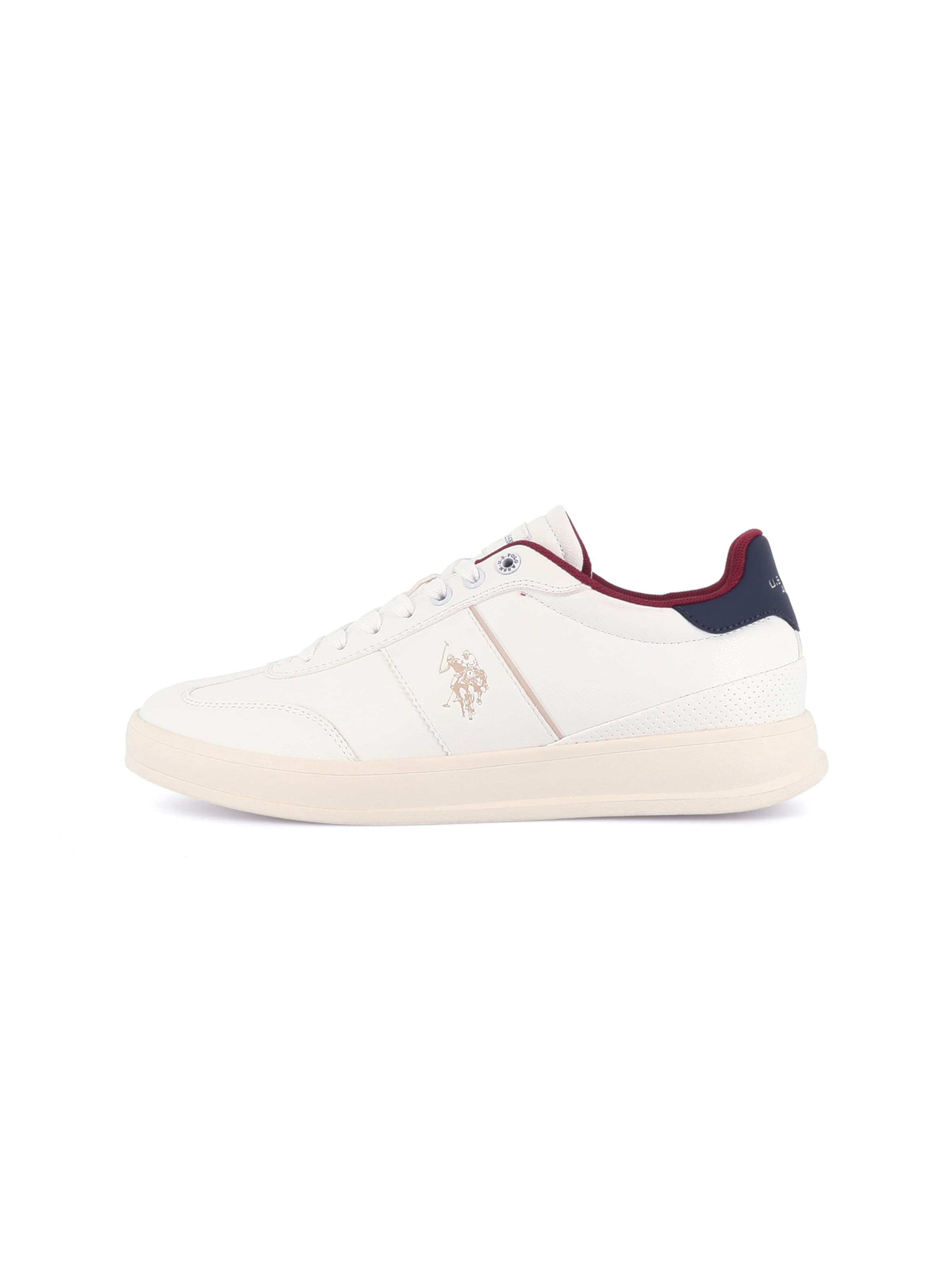 Baskets basses 'Campy' US POLO ASSN. en blanc : devant