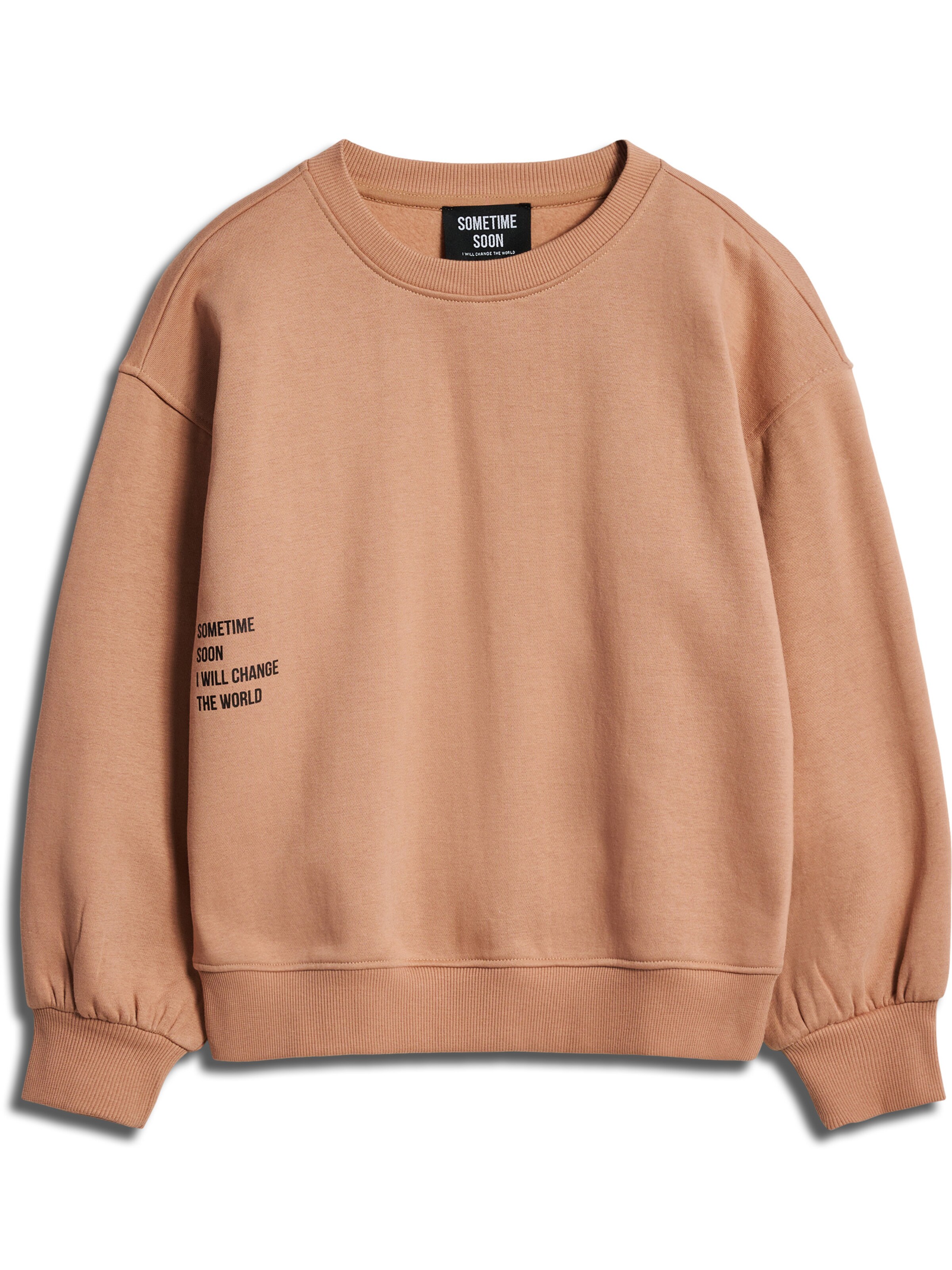 SOMETIME SOON Sweatshirt i brun: forside