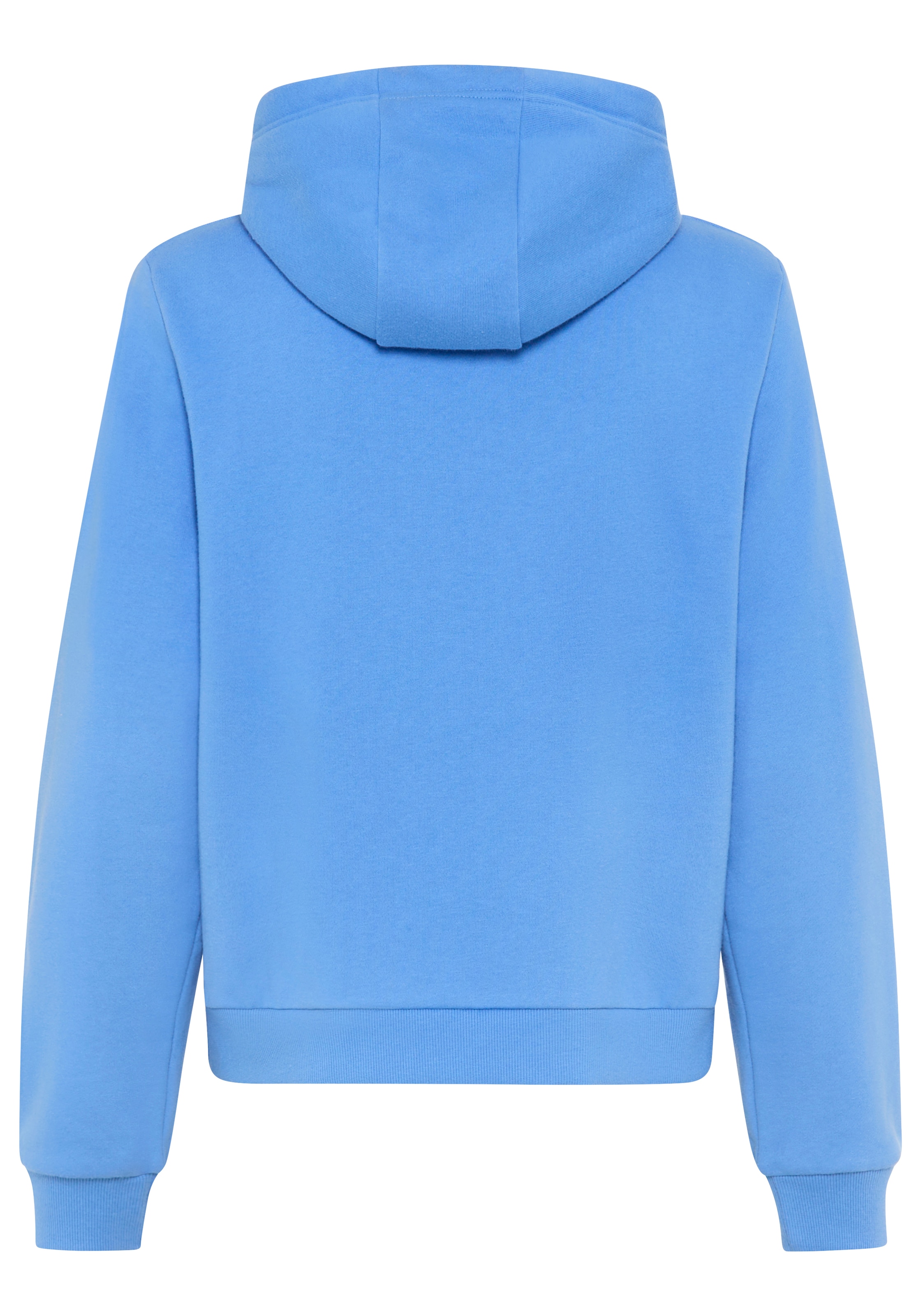 DELMAO Sweatshirt in Blue