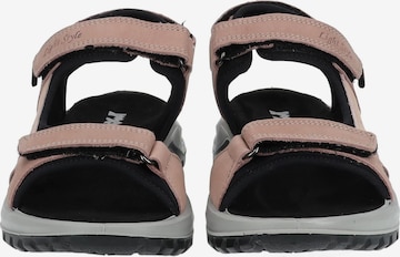 IMAC Sandals in Brown