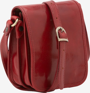 Viola Castellani Crossbody Bag in Red: front