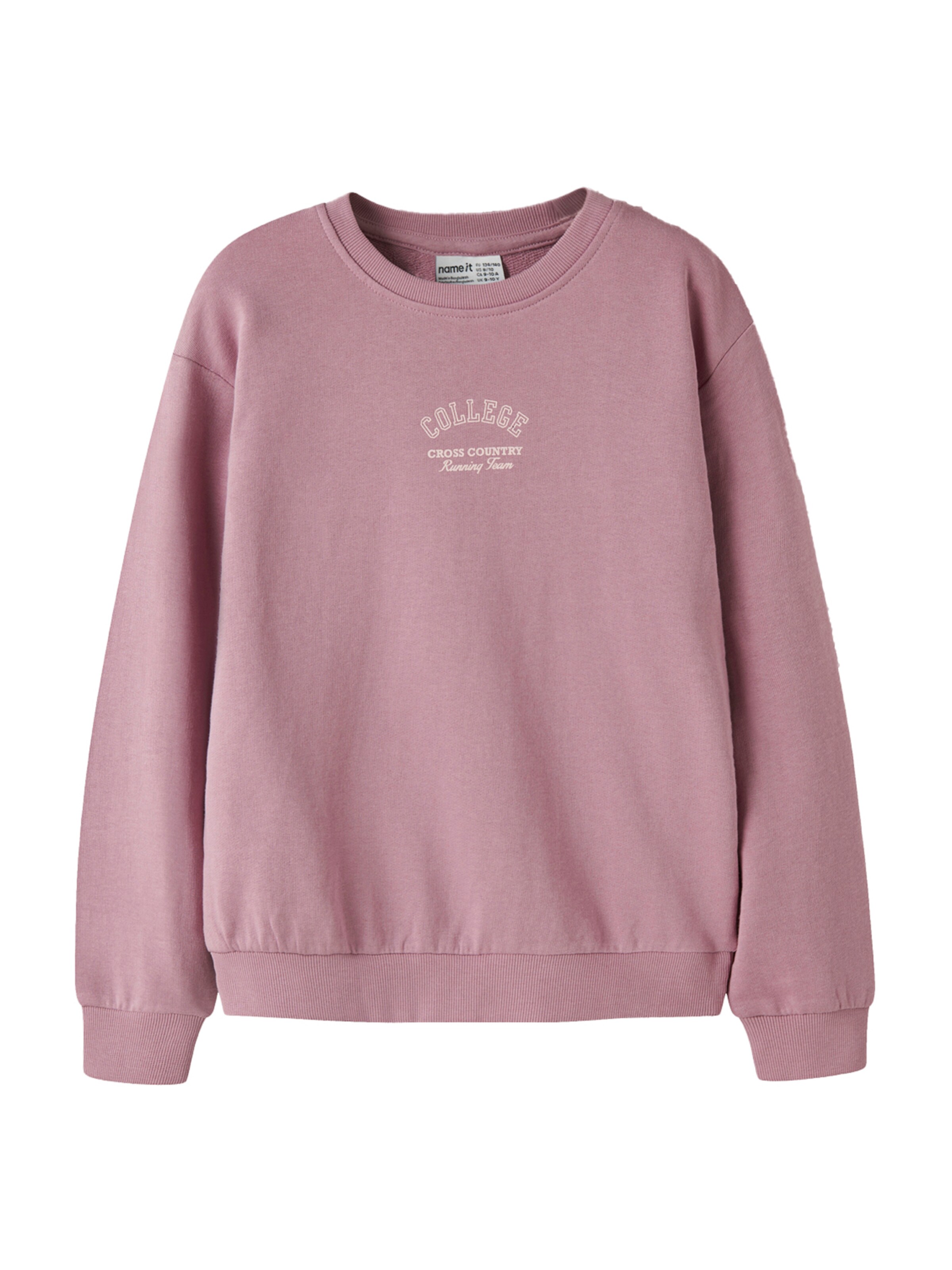 NAME IT Sweatshirt 'NKFVASACHA' in Lila: Vorderseite