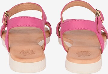 Apple of Eden Strap Sandals ' INEZ ' in Pink