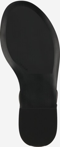 Calvin Klein Regular Strap sandal in Black