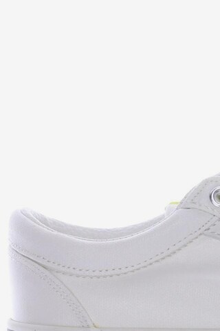 BRITISH KNIGHTS Sneakers & Trainers in 35 in White