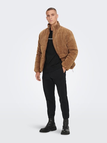 Veste mi-saison 'Cash' Only & Sons en marron