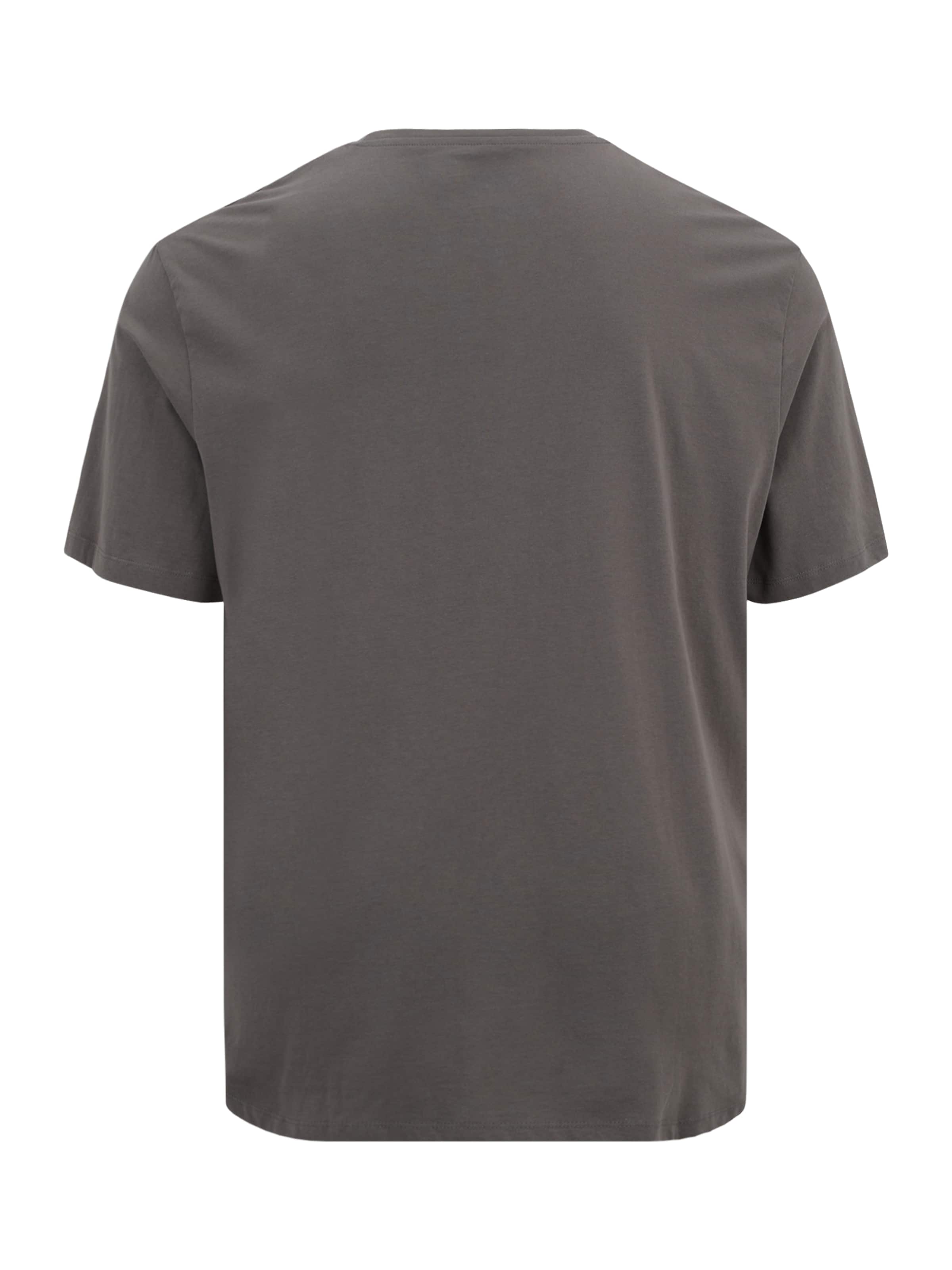 Jack & Jones Plus Μπλουζάκι σε γκρι