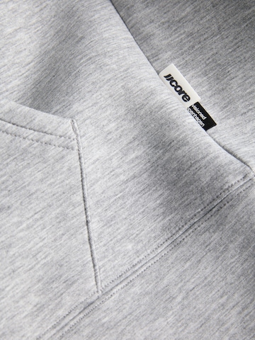 JACK & JONES Sweatshirt 'JCOLEGACY' in Grey