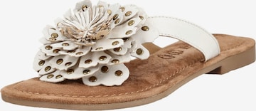 Infradito di LAZAMANI in bianco: frontale