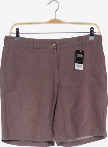 Looxent Shorts in XXXL in Brown: front