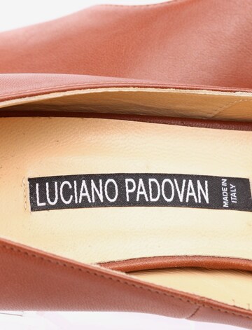 Luciano Padovan High Heels & Pumps in 41 in Brown