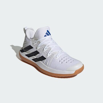 Chaussure de sport 'Stabil Next Gen' ADIDAS PERFORMANCE en blanc