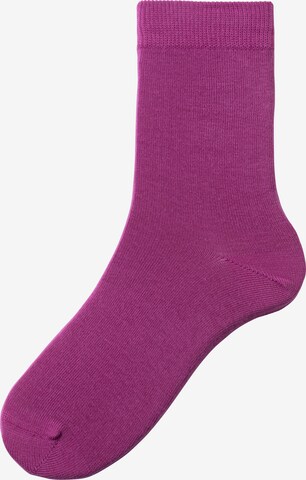 LASCANA Socks in Purple