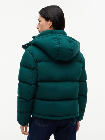 Tommy Jeans Zimná bunda 'ALASKA' - Zelená