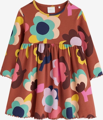 Robe Next en marron : devant