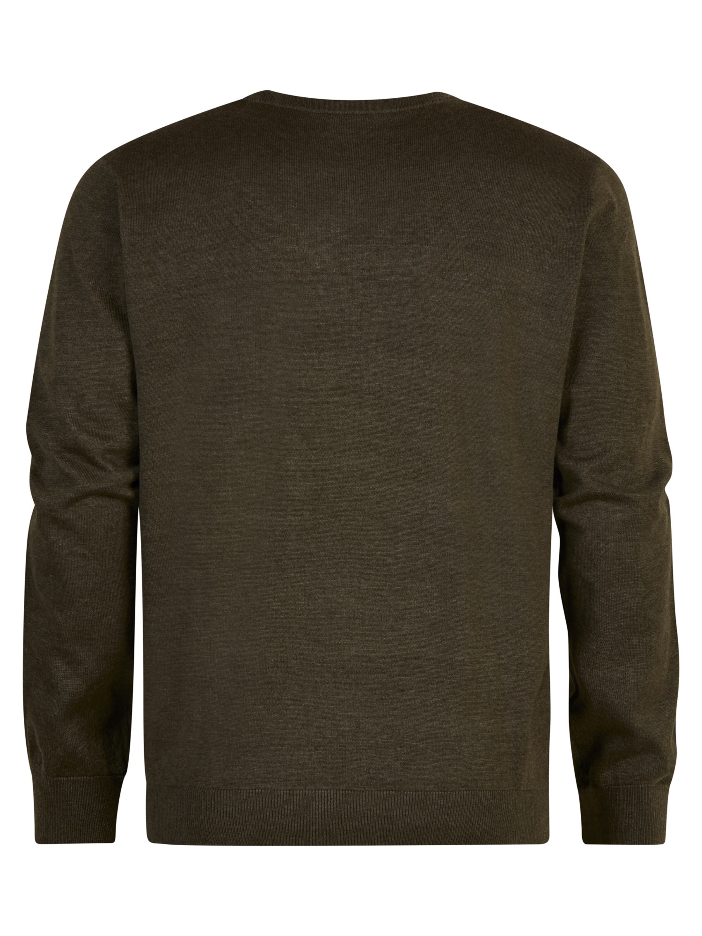 Petrol Industries Пуловер 'Chugach' в зелено