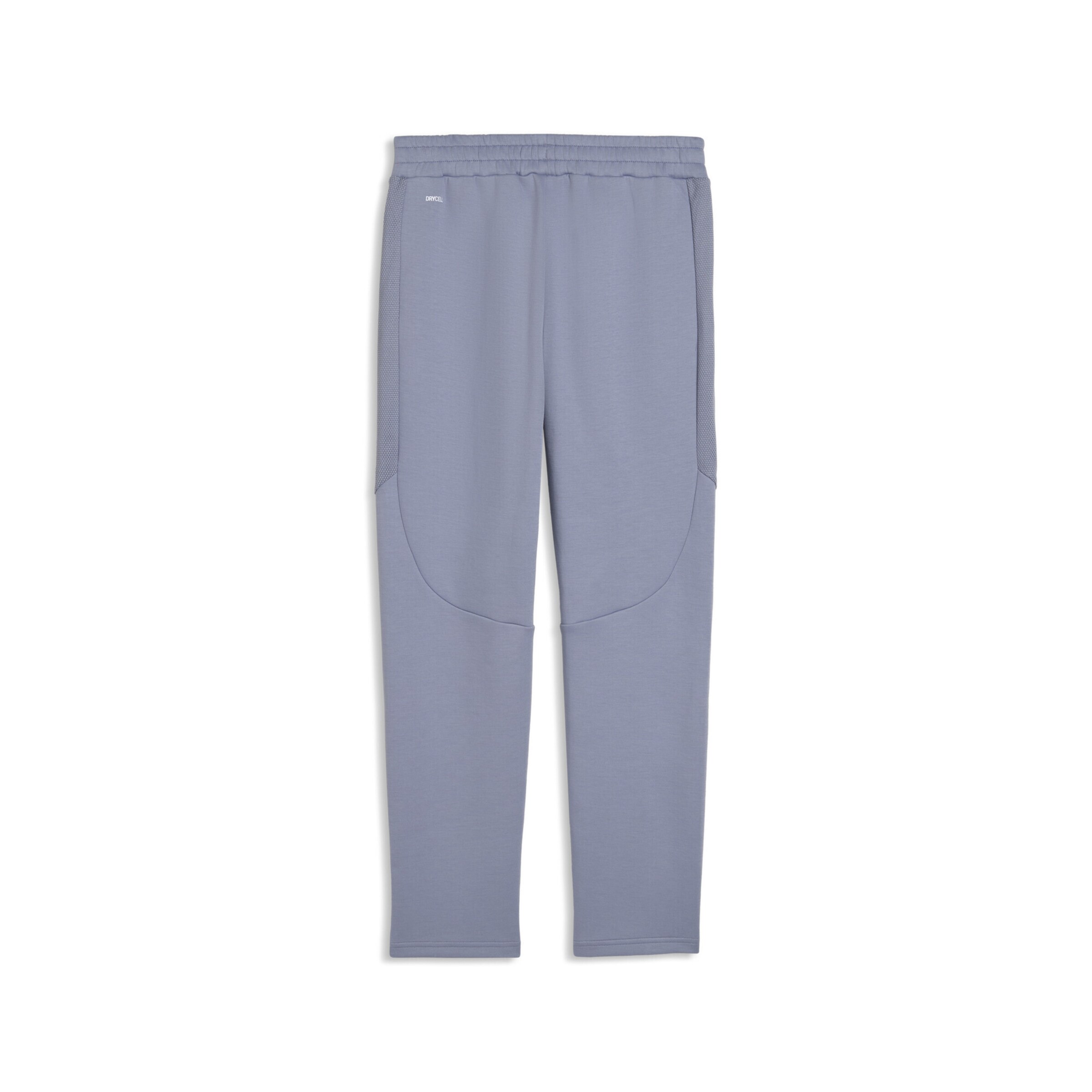 PUMA Regular Workout Pants 'Evostripe' in Grey
