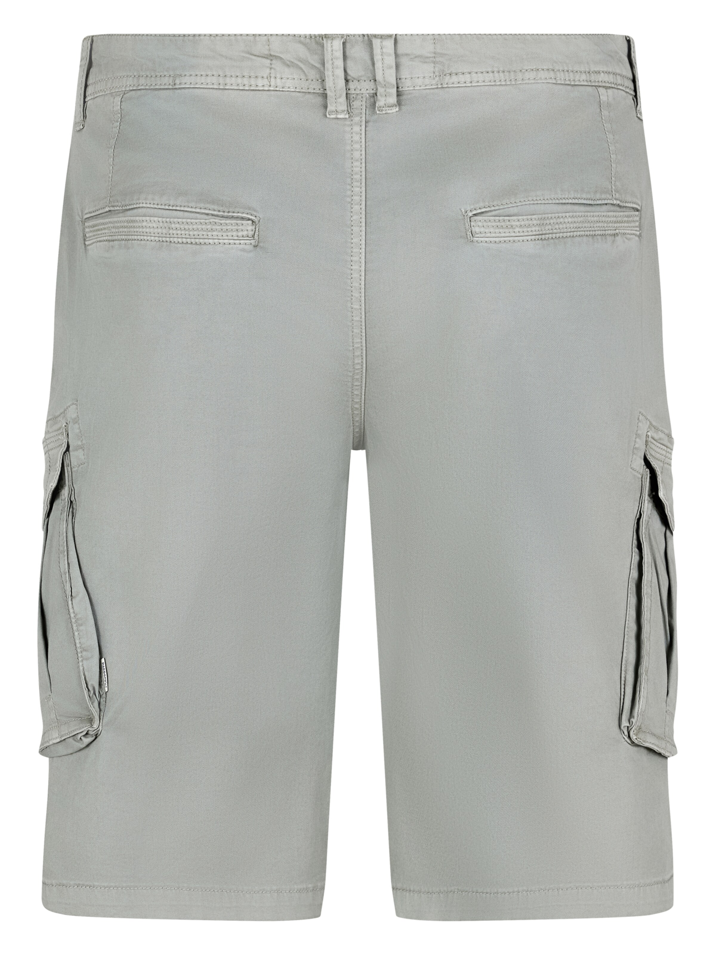 PADDOCKS Regular Cargo Pants in Green
