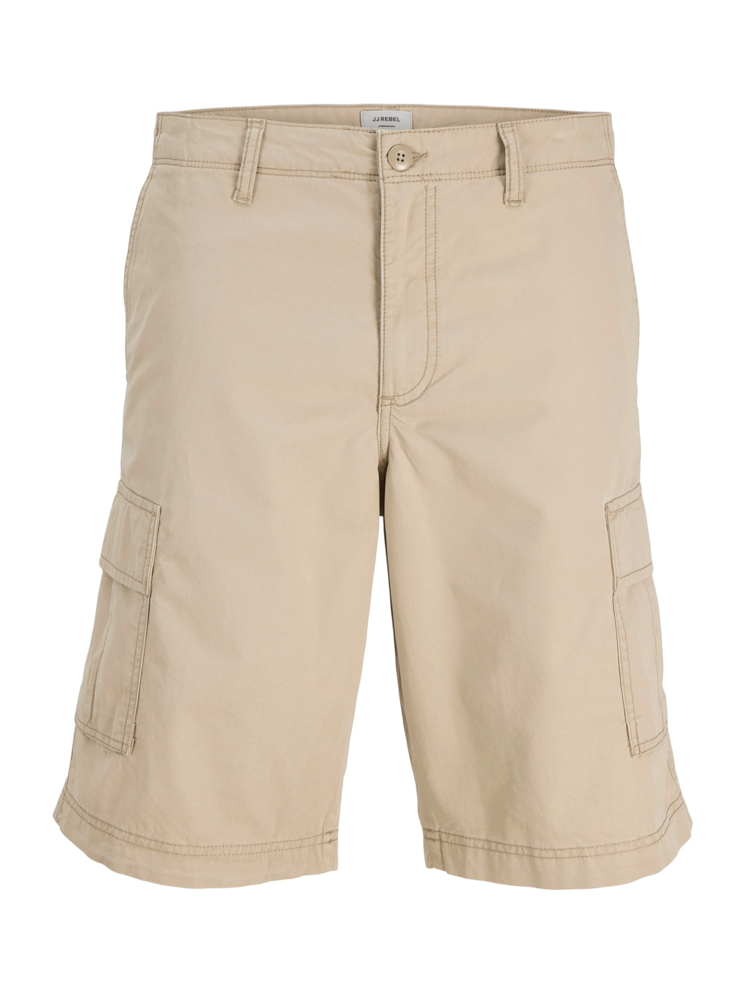 Loosefit Pantalon cargo 'JREBCORY' JJ Rebel en marron : devant