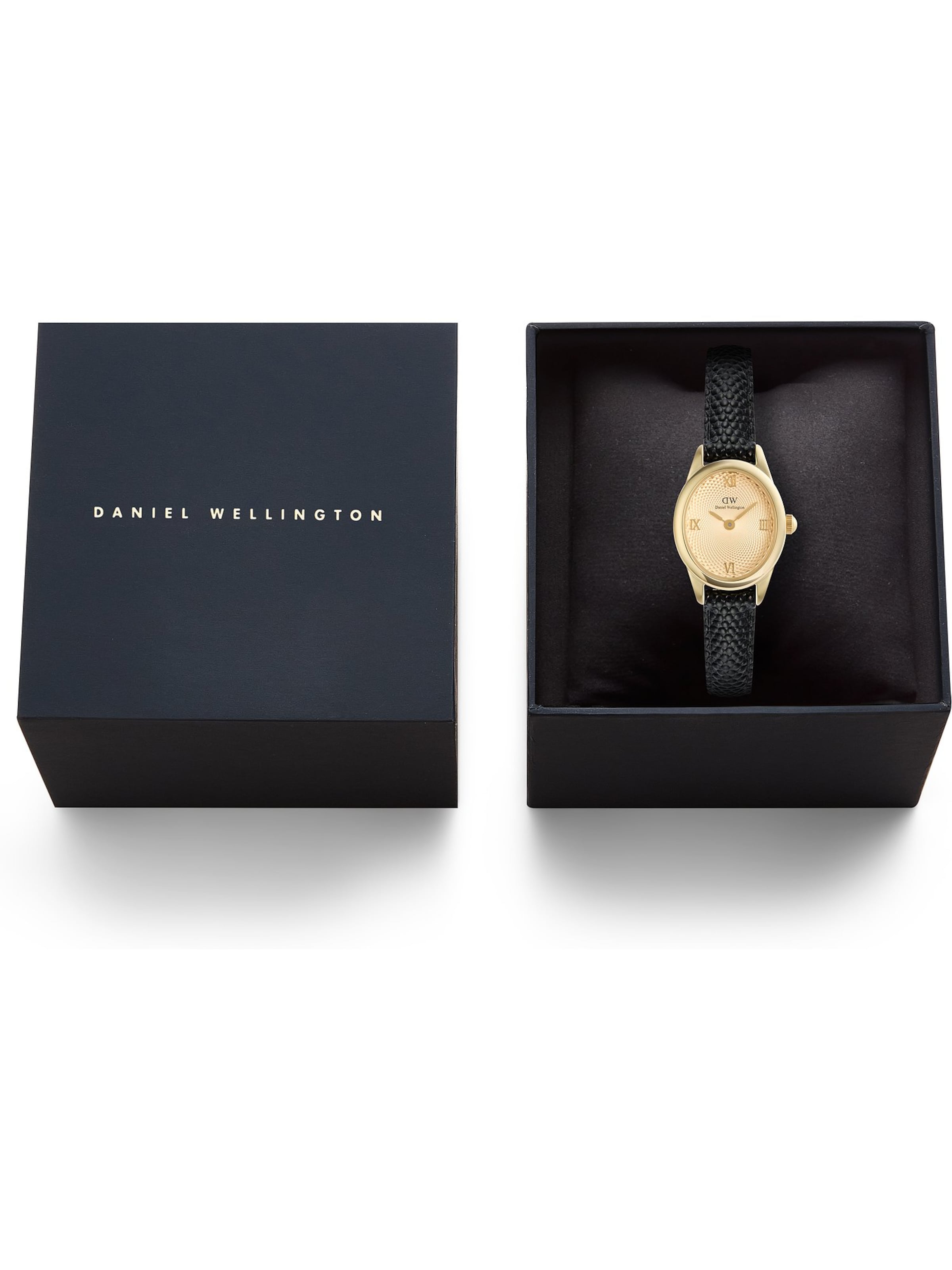 Daniel Wellington Analoguhr in Gold
