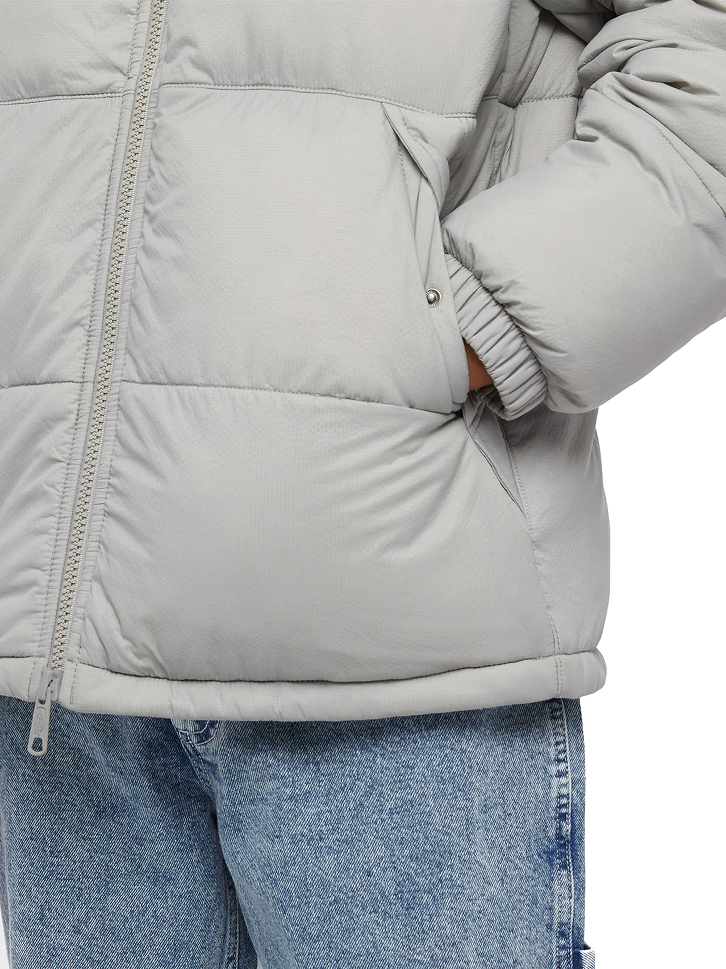 Giacca invernale 'Waldenburg' di DICKIES in grigio