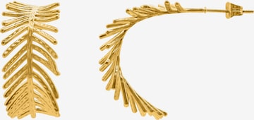Heideman Earrings 'Pictor ' in Gold: front