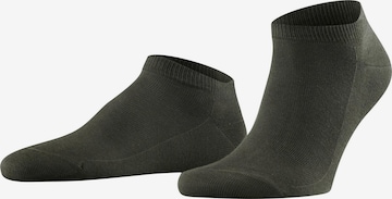FALKE Socks 'Family' in Green: front
