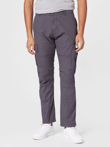 regular Pantaloni cargo di Denim Project in grigio: frontale