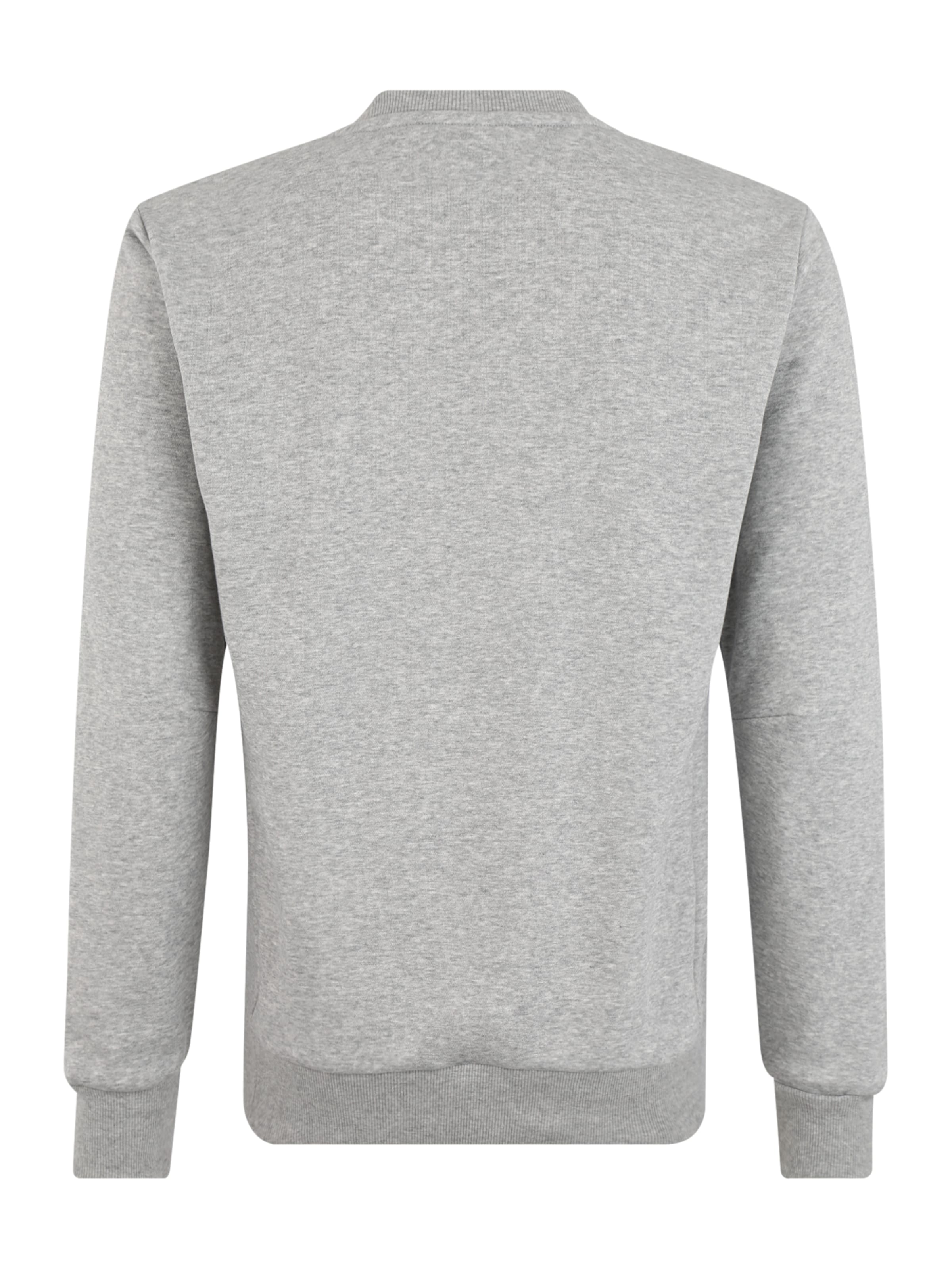 ADIDAS PERFORMANCE Regular fit Sports sweatshirt in Grey