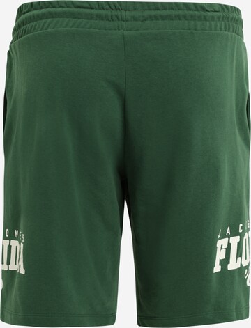 Regular Pantaloni 'CORY' de la Jack & Jones Plus pe verde