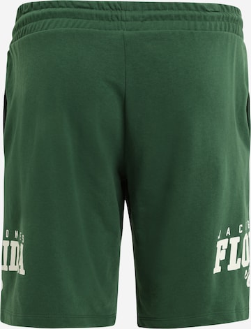 regular Pantaloni 'CORY' di Jack & Jones Plus in verde