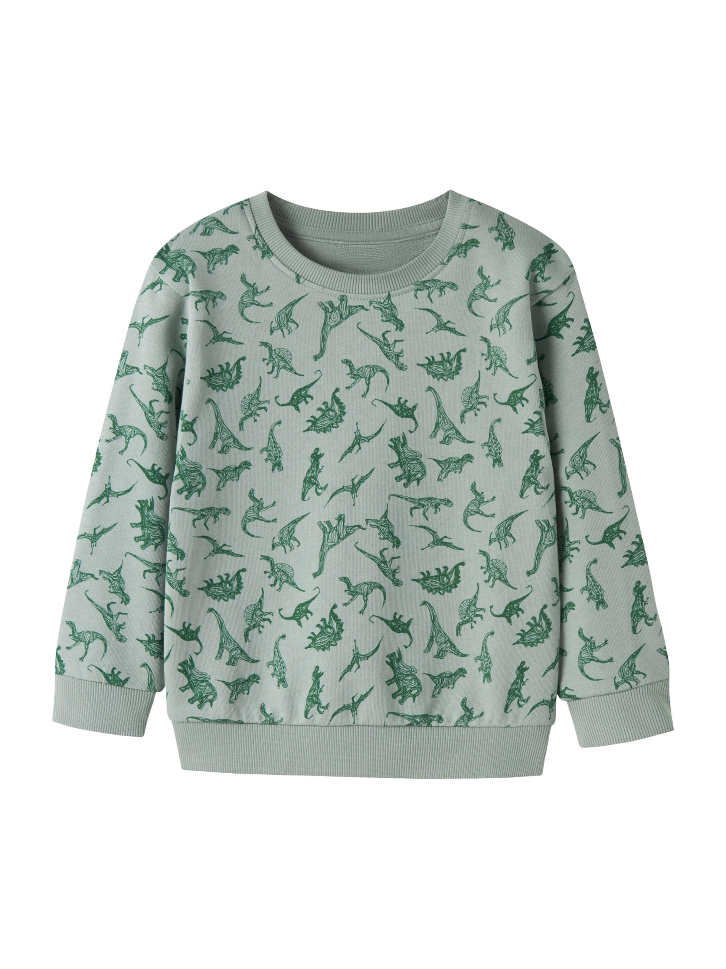 NAME IT Sweatshirt 'NMMVIFelix' in Grün: Vorderseite