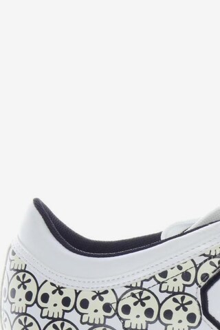 Fornarina Sneakers & Trainers in 36 in White