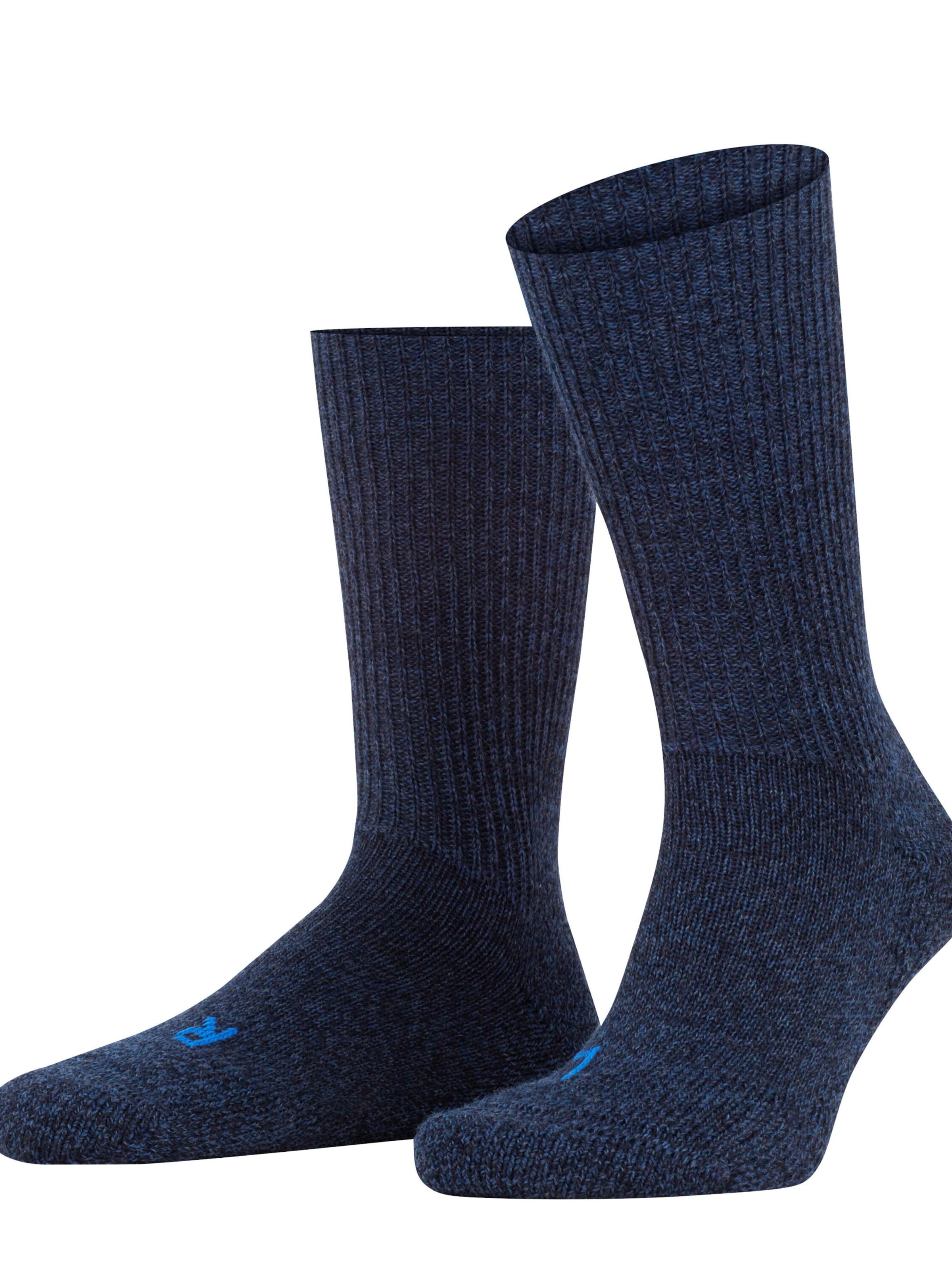 FALKE Socks 'Walkie Ergo' in Blue: front