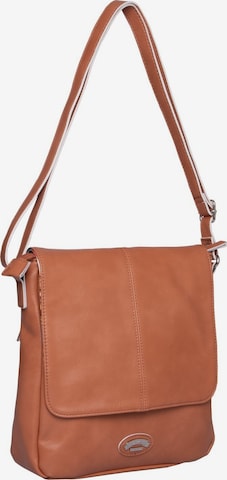 ARA Crossbody Bag in Brown: front