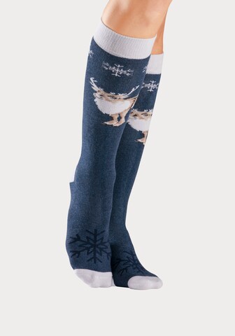 BENCH Athletic Socks in Blue