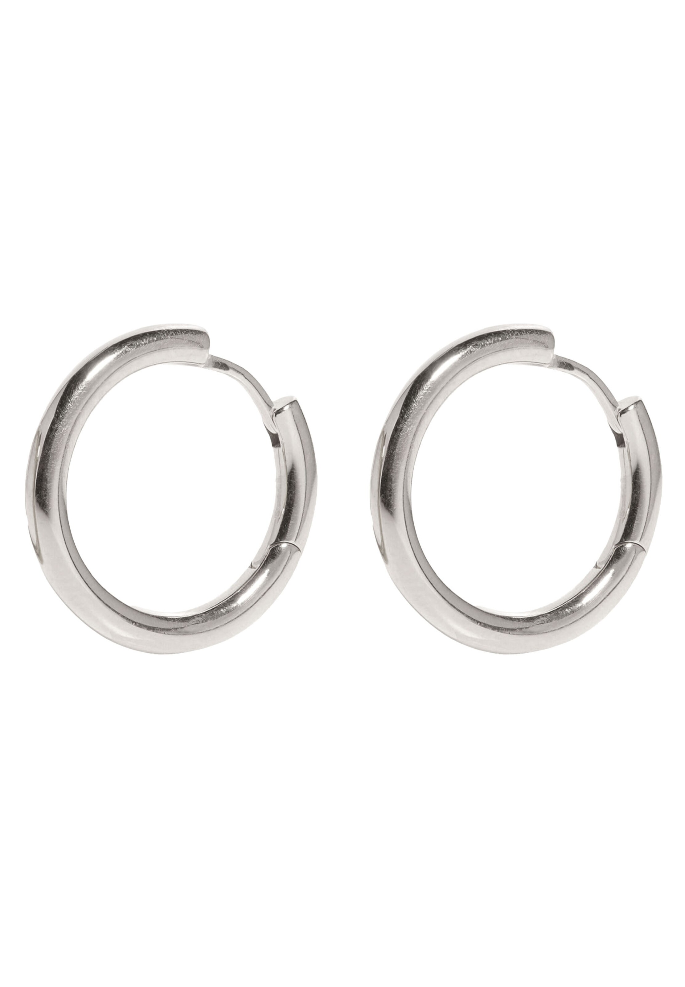 Stilnest Earrings in Silver