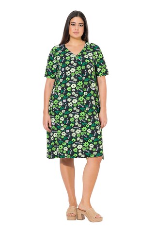 Ulla Popken Kleid in Grün: Vorderseite