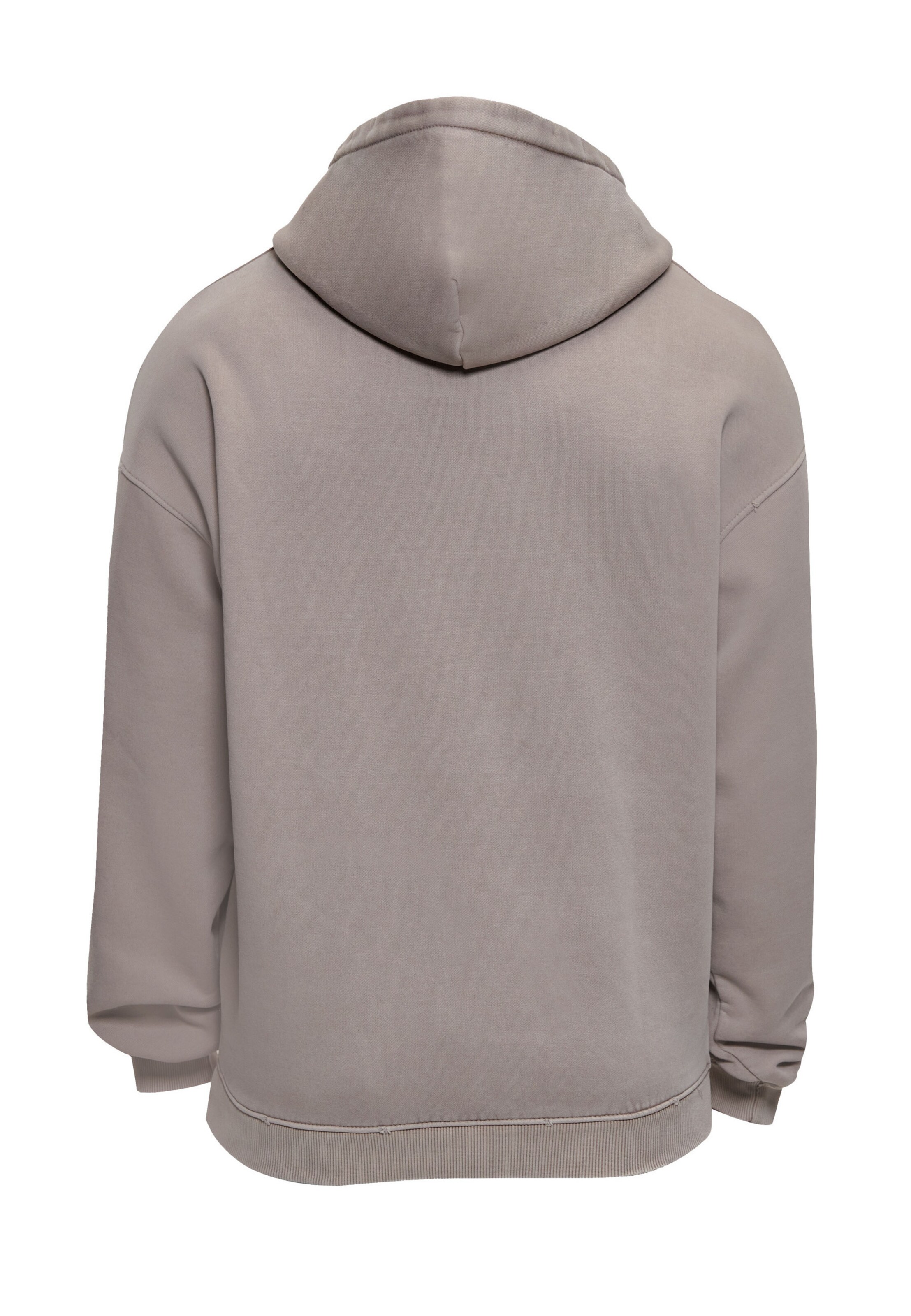 Dropsize Sweatshirt in Grey