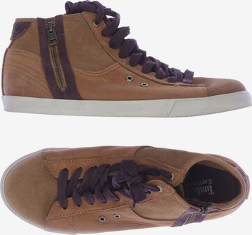 TIMBERLAND Sneakers & Trainers in 42 in Brown: front