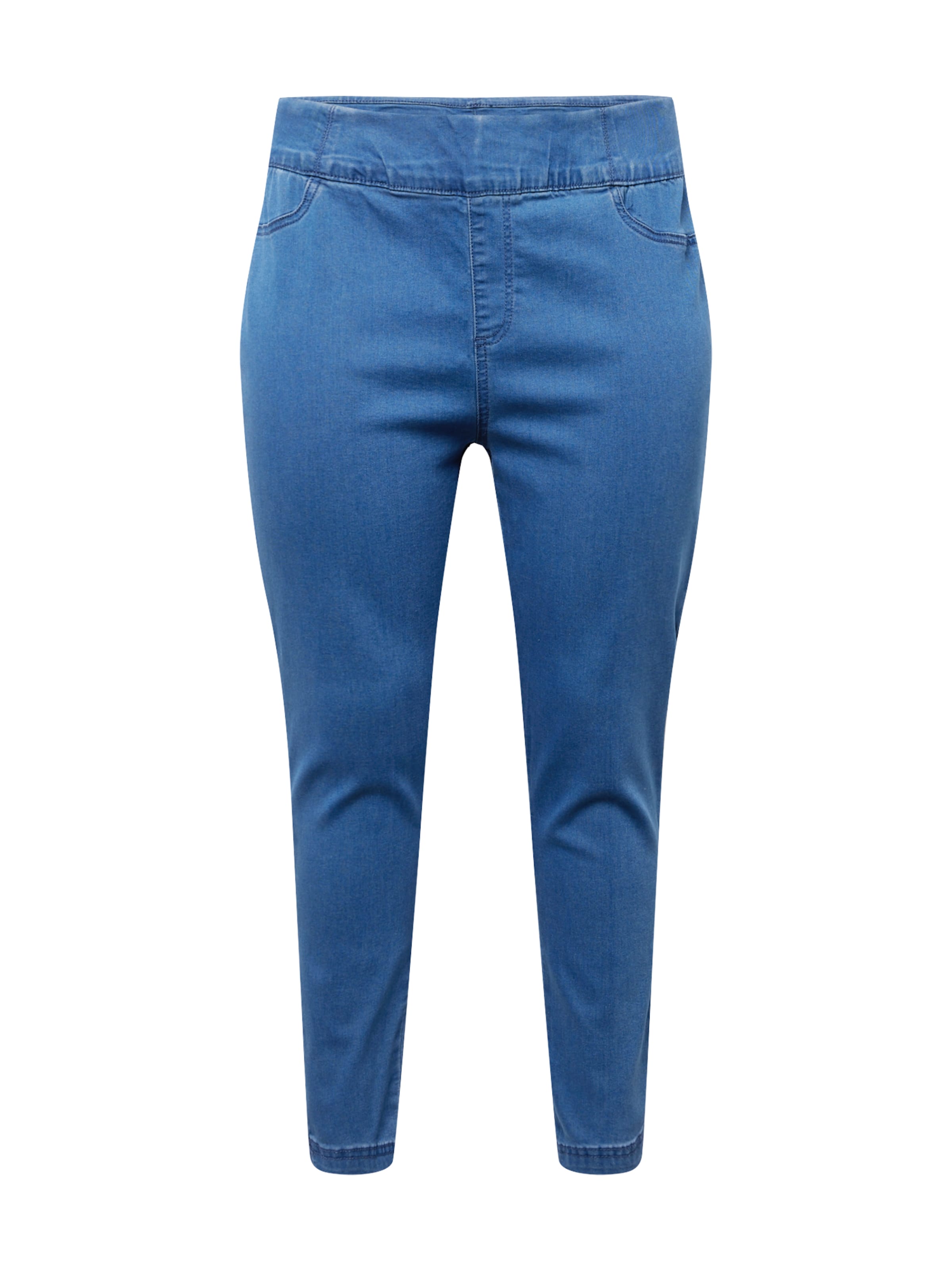 Fransa Curve Skinny Jeggings 'Mally' in Blue: front