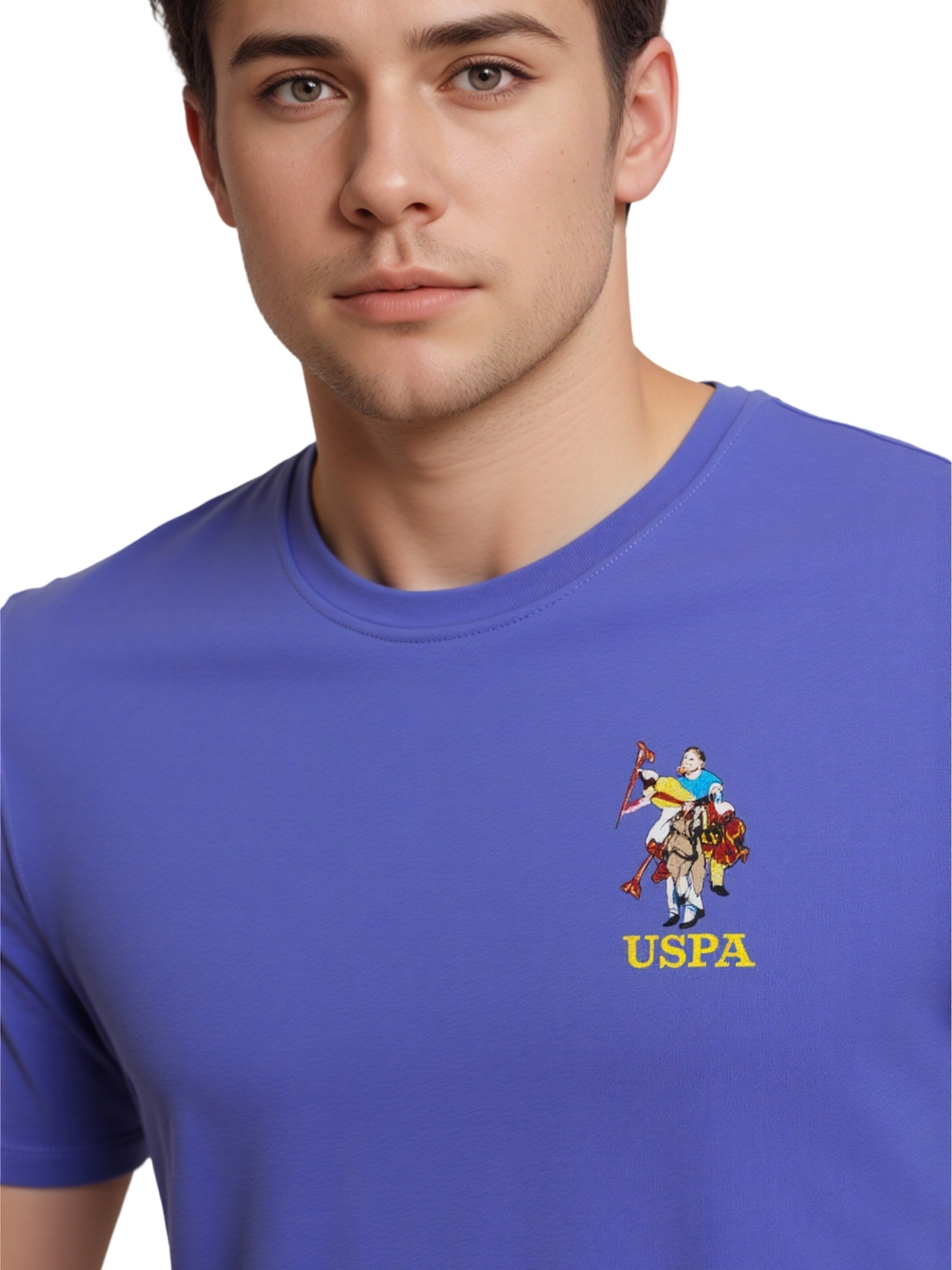 U.S. POLO ASSN. Shirt in Blue