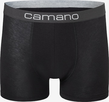 camano Boxershorts in Grau: predná strana