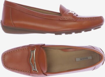 GEOX Flats & Loafers in 40 in Orange: front