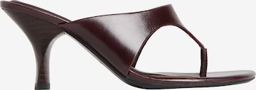 Calvin Klein T-bar sandals 'Elisa' in Brown: front