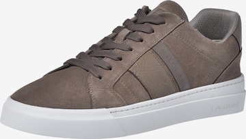 BALDININI Sneakers laag in Grijs: voorkant